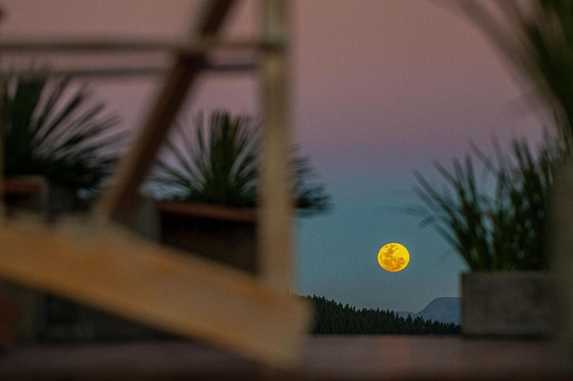 Kairos Glamping - - Sc Holiday home
