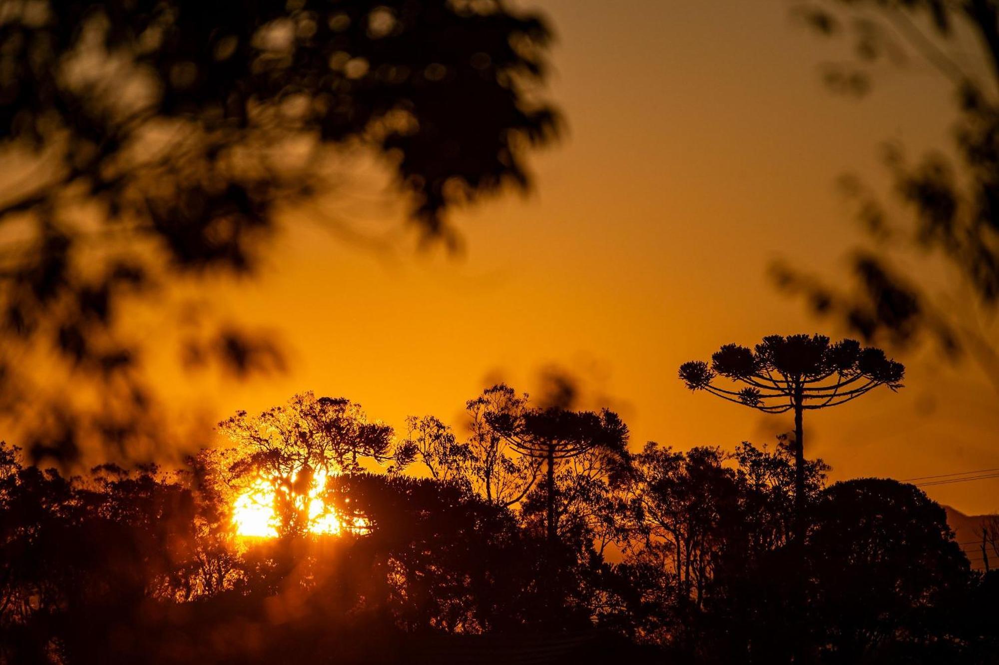 Kairos Glamping - - Sc
